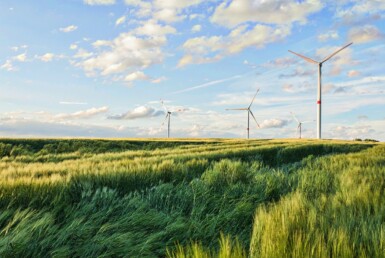 Renewable Energy Businesses for Sale