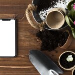 E-commerce business for sale