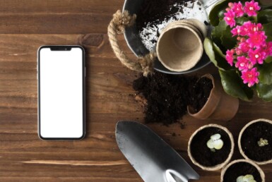E-commerce business for sale