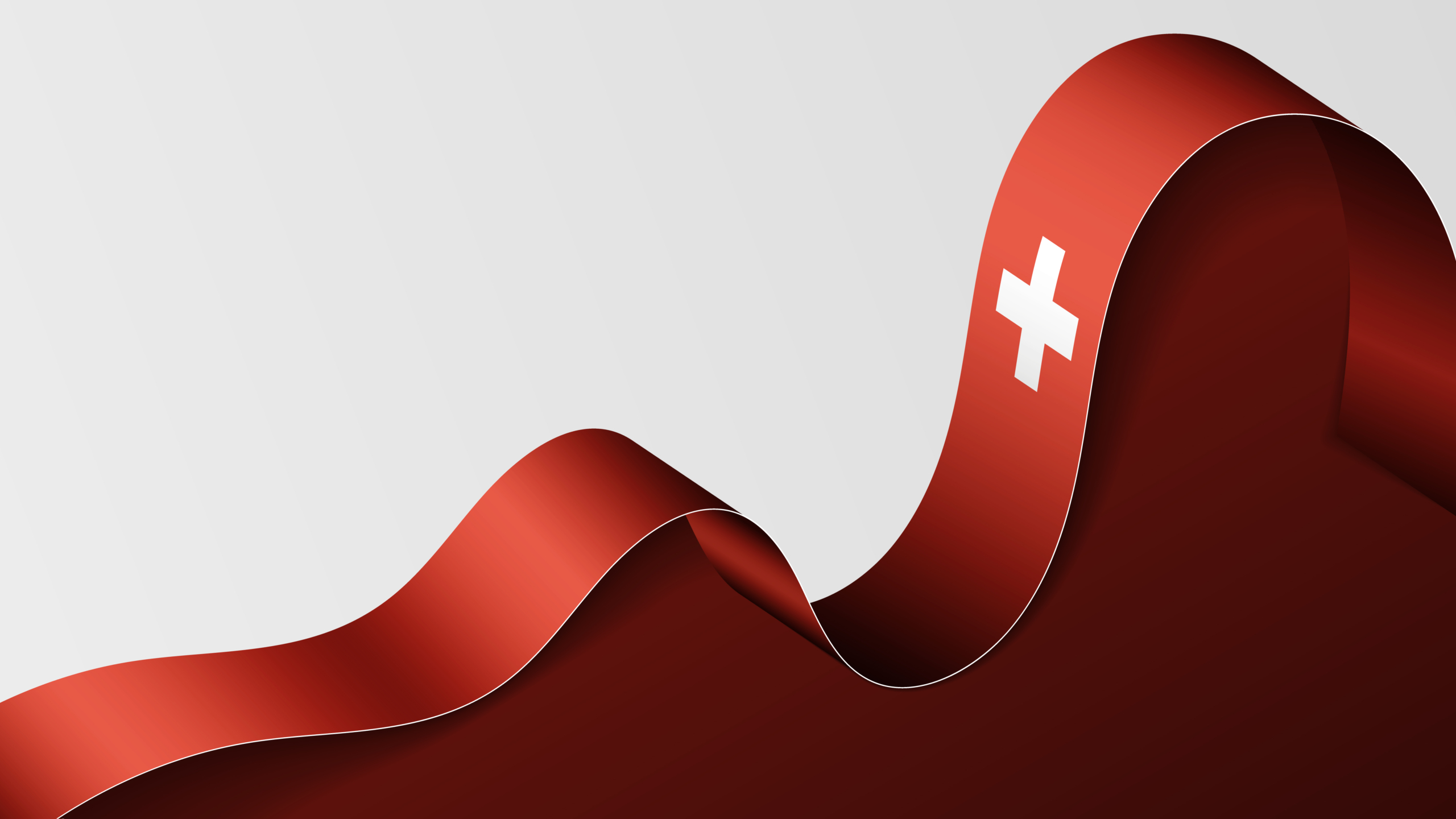 Società svizzera servizi bancari e di pagamento con autorizzazione Fintech