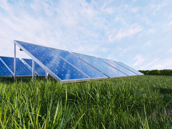 anna.bienkowska@sciencepharma.pl