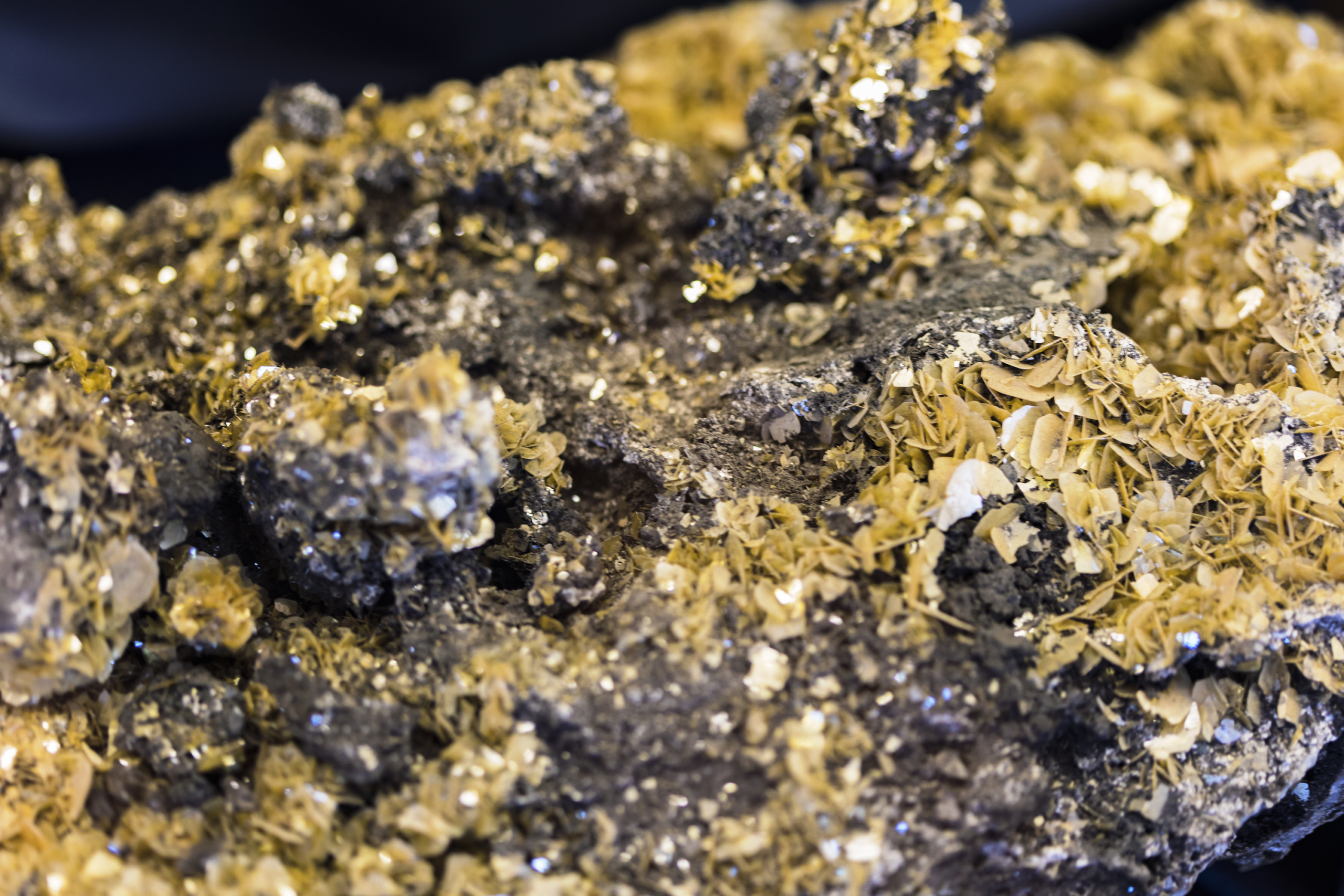 Licensed Gold & Base Metals Asset